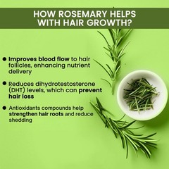Alps Goodness Rosemary Water Spray for Hair 6.76 Fl Oz (Pack of 1), Green