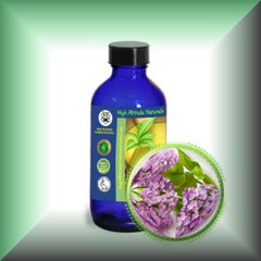 Lilac Absolute (Syringa Vulgaris) Essential Oil