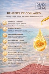 Dead Sea Collection – Collagen – Day Cream – 1.69 fl oz/ 50 mL – Anti-Wrinkle