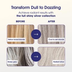 One ‘n Only Shiny Silver Ultra Shine Spray – Purple Hair 4 Fl Oz (Pack of 1)