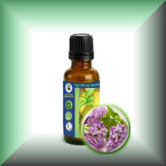 Lilac Absolute (Syringa Vulgaris) Essential Oil
