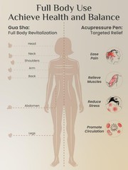 Rena Chris Acupuncture Pen and Gua Sha, Manual 2 Piece Set, Silver