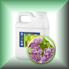 Lilac Absolute (Syringa Vulgaris) Essential Oil
