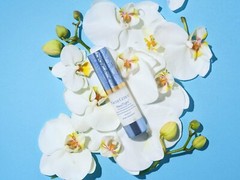 Authentic Full size- Climate Control, SeneC, Nangai, NeoTight, Anti Wrinkle