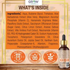 Vitamin C Facial Serum w/ Hyaluronic Acid, Aloe & E – 1oz Anti-Aging Glow