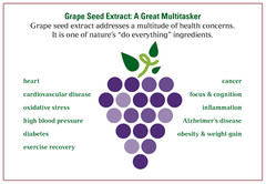 antioxidant blend supplements – SPIRULINA – GRAPE SEED EXTRACT COMBO 2B – grape
