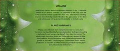 Aloe Vera Gel (THICK) 100% Pure Organic Soothing Moisturizing Skin Lotion BULK