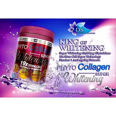 Phyto Collagen King Whitening Anti Aging 19X Stemcell 800g FREE SHIPPING